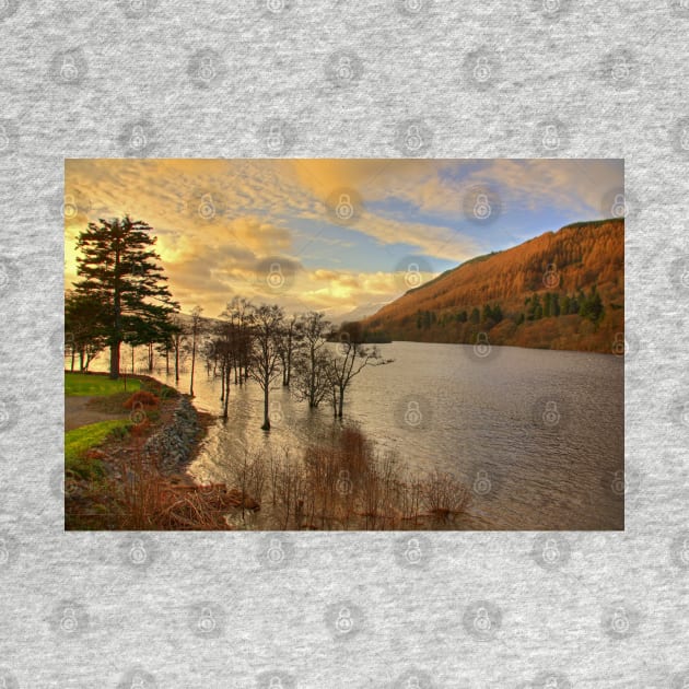 Loch Tay View by tomg